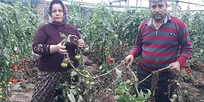 Ne yaptıysa serasını kurtaramadı, cep telefonuyla yaşadıklarını kaydetti