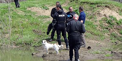 Nehirde aranan yaşlı adamın beslediği köpek, bir an olsun bölgeden ayrılmadı