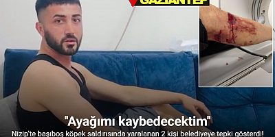 Nizip’te başıboş köpek saldırısında yaralanan 2 kişi belediyeye tepki gösterdi