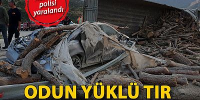 Odun yüklü TIR kaymakamın makam aracına çarptı, koruma polisi yaralandı