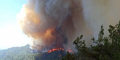 OGM'den Marmaris'te devam eden orman yangınına ilişkin son durum açıklaması