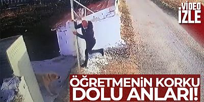 Öğretmene köpek saldırısı güvenlik kamerasında