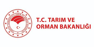 Okuyucularımıza Çok yakında Beykoz balık ekmeğin gerçek işletme yerinin neresi olduğunu açıklayacağız