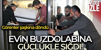Oltayla tutulan dev orkinosu kamyonetle taşıyıp, evin buzdolabına güçlükle sığdırdılar