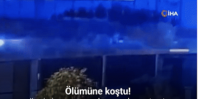Ölümüne koştu