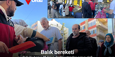 Ordu’da hamsi 25 liraya düştü, vatandaş sıraya girdi
