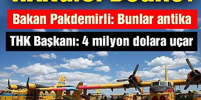 Orman Bakanı “Bunlar antika” diyor, AKP’li kayyum yalanlıyor