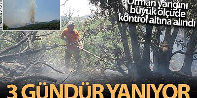 Orman yangınına havadan ve karadan müdahale sürüyor, yüzde 70 oranında kontrol altına alındı