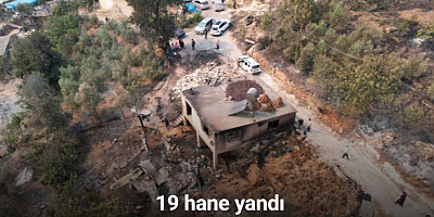 Orman yangınında acı bilanço: 19 hane yandı