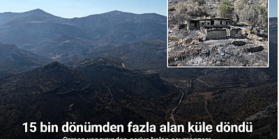 Orman yangınından geriye kalan acı manzara: 15 bin dönümden fazla alan küle döndü