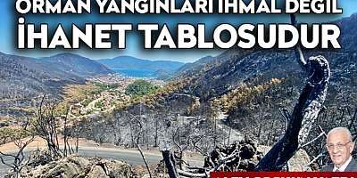 Orman yangınları ihmal değil, ihanet tablosudur