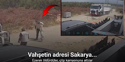 Oyun oynarken yola fırlayan iki köpek çöp kamyonunun altında kaldı