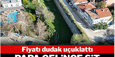 Papa gelince sit alanını satışa çıkardı! Fiyatı dudak uçuklattı