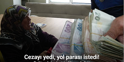 Parkta dilenen yaşlı kadının üzerinden deste deste para çıktı