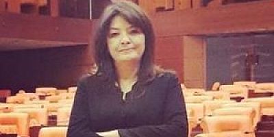 Parlamento Muhabiri hemşerimiz, HBB Basın Yayın ve Halkla İlişkiler Daire Başkanlığı görevine getirildi.