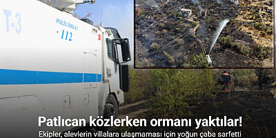 Patlıcan közlerken ormanı yaktılar