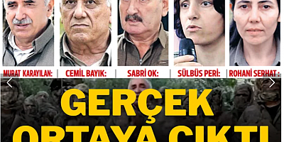 Pervin hanım, 4 yıl önce anlatmış Norveç’e değil Ankara’da siyasete