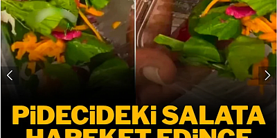 Pidecideki salata hareket edince hemen kameraya sarıldı: Gıda terörü uçuşa geçti