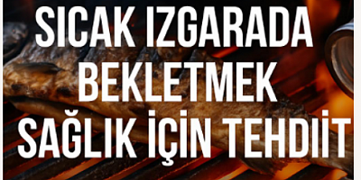 Pişmiş Balığı Sıcak Izgarada Bekletmek Sağlık İçin Tehdit