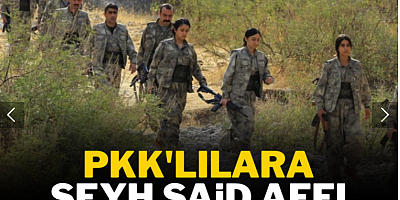 PKK'lılara Şeyh Said affı geliyor