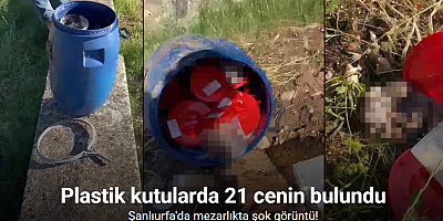 Plastik kutularda 21 cenin bulundu
