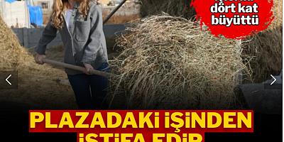 Plazadaki işinden istifa edip köyüne döndü: 3 yılda işleri 4 kat büyüttü