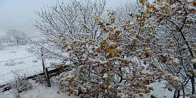 Posof vadisi beyaza büründü