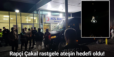 Rapçi Çakal rastgele ateşin hedefi oldu!