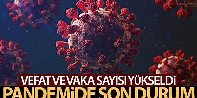 Sağlık Bakanlığı, Türkiye'nin son 24 saatlik korona virüs tablosunu açıkladı