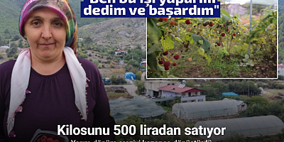 Saimbeyli’de ilk kez yetiştirdi, kilosunu 500 liradan satıyor