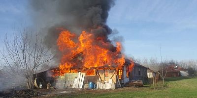 Sakarya'da 6 günde çıkan 8 farklı yangında 4 kişi hayatını kaybetti