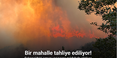Sakarya’daki orman yangınına müdahale sürüyor: Bir mahalle tahliye ediliyor