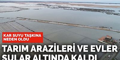 Samsun'da kar suyu ile karışan Düden kanalı taştı evler sular altında kaldı