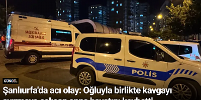 Şanlıurfa'da acı olay: Oğluyla birlikte kavgayı ayırmaya çalışan anne hayatını kaybetti