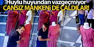Şanlıurfa'da pes dedirten hırsızlık