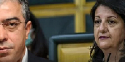 Saray Başdanışmanı'ndan DEM Parti'ye ayar geldi