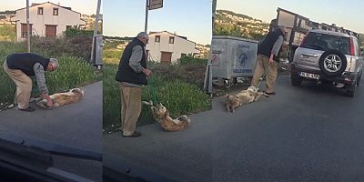 Sarıyer'de bağladığı köpeği sürükleyerek çöpe atan şahıs yakalandı
