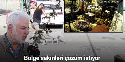 Sarıyer’de başıboş köpekler vatandaşları tedirgin ediyor