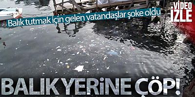 Sarıyer Sahili'ne balık tutmak için gelen vatandaşlar şoke oldu