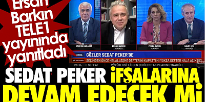 Sedat Peker ifşalarına devam edecek mi? Ersan Barkın TELE1 yayınında yanıtladı