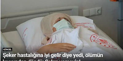 Şeker hastalığına iyi gelir diye yedi, ölümün kıyısından döndü: Sakın yemeyin!