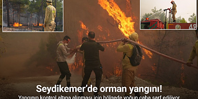 Seydikemer’de orman yangını!