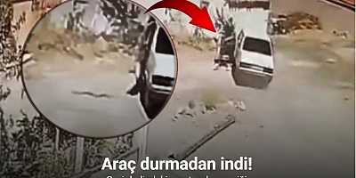 Seyir halindeki araçta yılan paniği kamerada: Sürücü araç durmadan indi