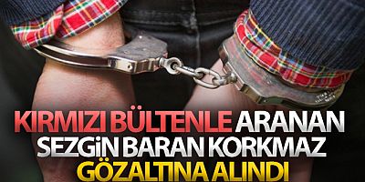 Sezgin Baran Korkmaz Avusturya'da gözaltına alındı