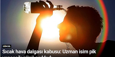 Sıcak hava dalgası kabusu: Uzman isim pik yapacağı günü açıkladı