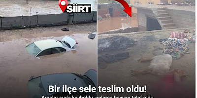 Siirt’te araçlar sel sularında kayboldu, onlarca hayvan telef oldu