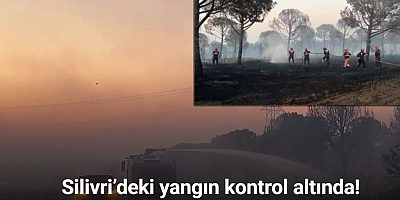 Silivri’deki yangında 100 hektar ormanlık alan zarar gördü: Tedbir amaçlı 50 hane boşaltıldı