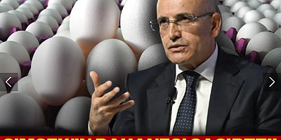 Şimşek'in bahanesi şaşırttı! Yumurtayı da mı don vurdu!