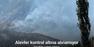 Şırnak’ta orman yangını: Alevler kontrol altına alınamıyor