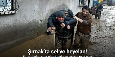 Şırnak’ta sel ve heyelan: Ev ve ahırlar zarar gördü